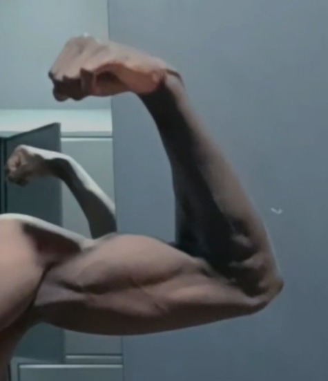 Profil de Timéo, 31 ans, Cruising gay à Saint-Pie (Québec)
